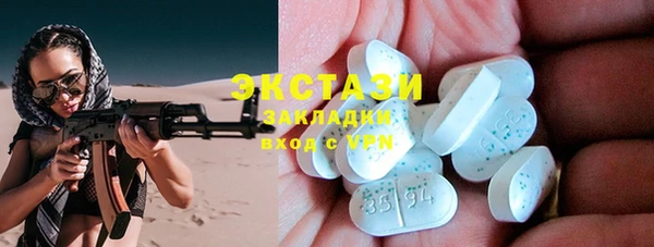 СК Ельня