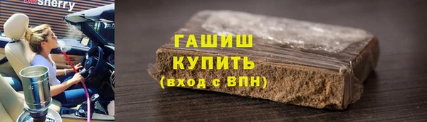 СК Ельня