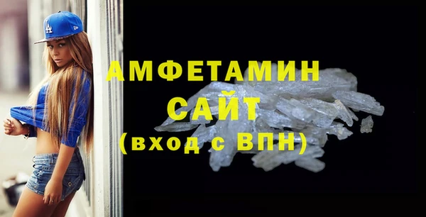 СК Ельня