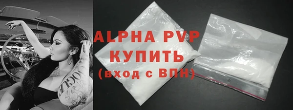 СК Ельня