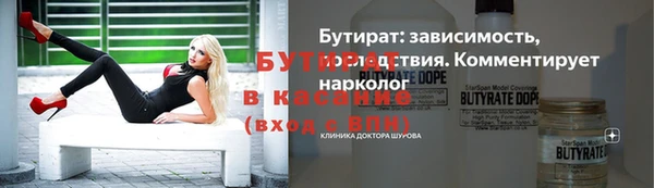 СК Ельня