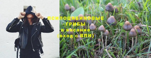 СК Ельня