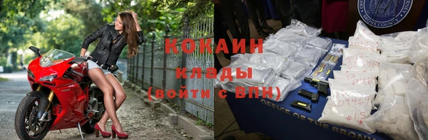 СК Ельня