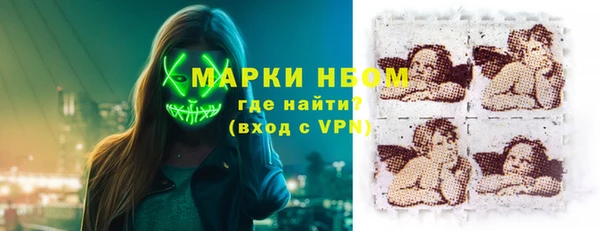 СК Ельня