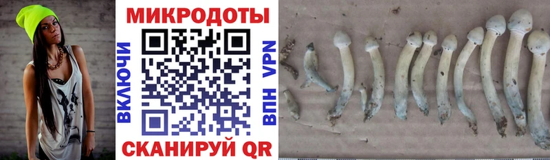 Галлюциногенные грибы Psilocybine cubensis  Купить закладки  Инза 